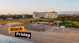 ASTERIA BLOOM SIDE (EX.HEAVEN BEACH)